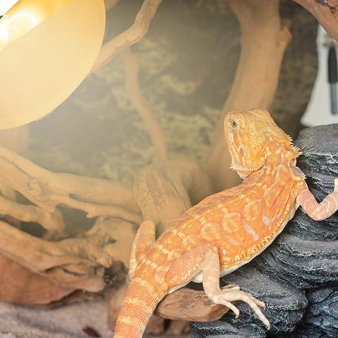 REPTI ZOO 125W Reptile Heat Lamp - Full Spectrum UVA UVB Sun Lamp - Self-Ballasted Vapor Basking Spot Lamp/Bulb/Light for Reptiles and Amphibians
