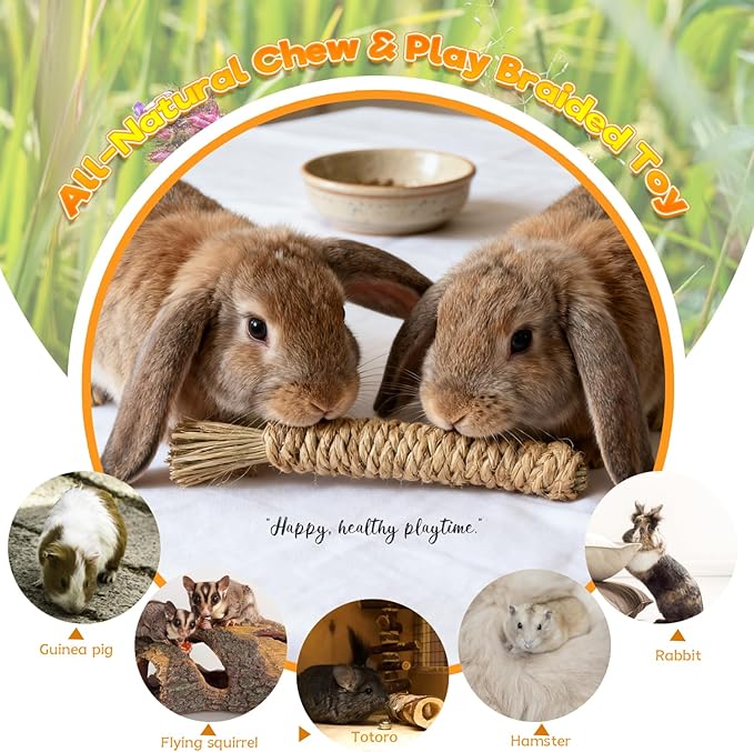 Rabbit Toys Bunny chew/Guinea Pig Toys Natural Timothy Hay Sticks Apple Wood Sticks Handmade for Guinea Pig Hamster Rat Chinchilla (TOY-1-11)