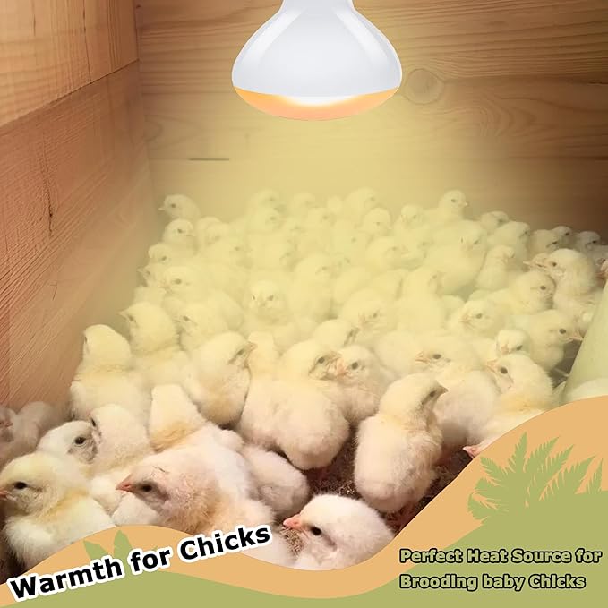 60W Reptile Heat Lamp Bulbs, 2.5 Inch UVA Basking Spot Light for Bearded Dragon, Lizard, Tortoise, Chicks & Amphibians – Simulated Natural Sunlight, Daylight Bulb for Terrarium E26 | 2 Pack