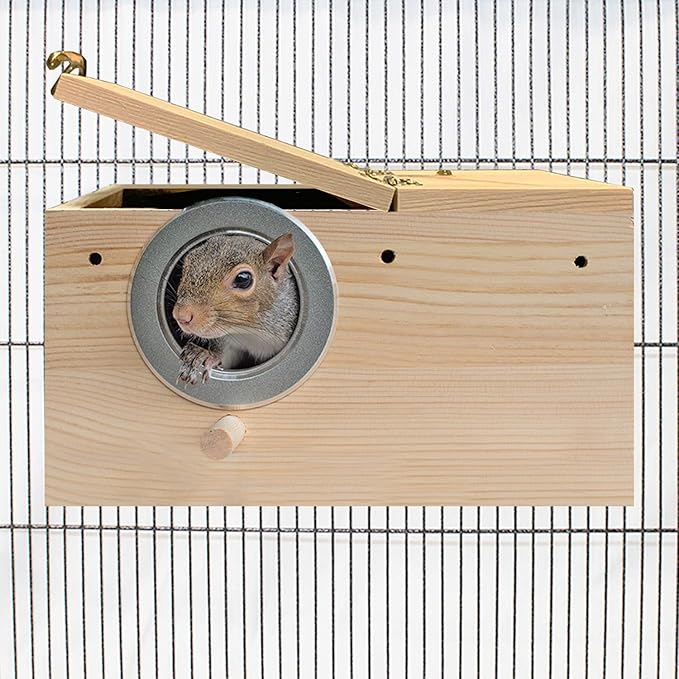 Exotic Nutrition Starter Package for Squirrels - Includes Healthy Food, Nest Box, Nesting Material, Natural Treat, Water Bottle & Food Dish