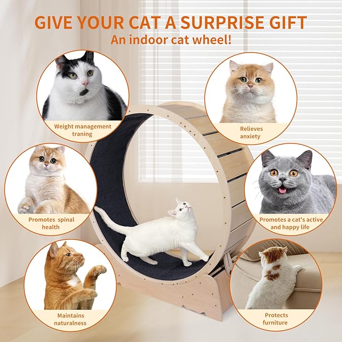 Large Cat Exercise Wheel 40 Inch Treadmill Exerciser for Indoor Cats Love Kitty Running Toy Walking Training for Fitness Weight Loss Device Suitable for Most Cats Physical Exercise Activity