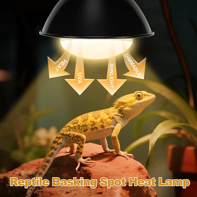 2Pack Reptile Heat Lamp, 100W Reptile Heat Emitter Basking Spot Light, UVA Daylight Heat Lamp Bulbs for Chickens Coop Reptiles Pets Brooder Use