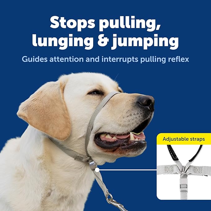 PetSafe Gentle Leader Headcollar No-Pull Dog Collar - Helps Improve Walks - Durable Nylon Construction - Padded Nose Loop - Adjustable Fit - Comfort Walking Halter - Large, Fawn