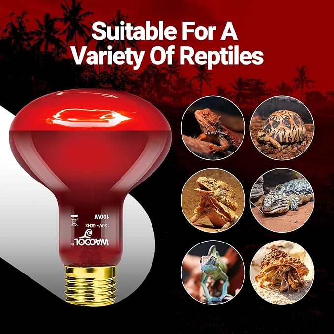 WACOOL 2 Pack Reptile Heat Lamp Bulbs,100W Infrared Basking Spot Light for Reptiles & Amphibians, Red Heat Lamp Bulb for Bearded Dragon Gecko Turtle Lizard