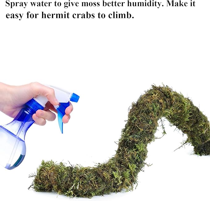 Hermit Crab Accessories, Hermit Crab Climbing Toys Bendable Bridge Coconut Shell Hideout Hut Plants for Crested Gecko Chameleon Reptile Amphibians Supplies