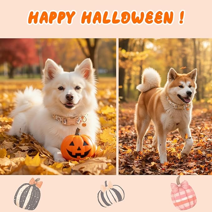 Halloween Dog Collars, Fall Dog Collar for Dogs, Fun Multi-Color Pumpkin Dog Collars for Medium Dogs, Adjustable Cotton Meiudm Dog Collar Puppy Collar for Halloween & Thanksgiving