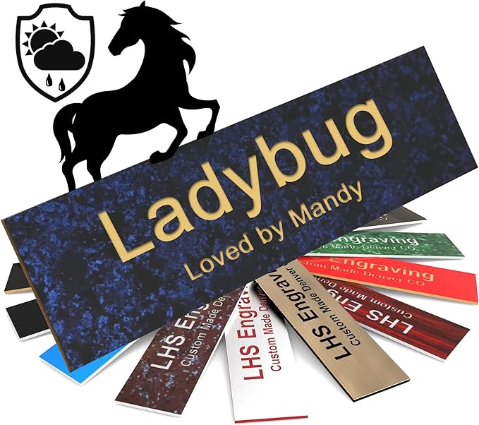 Horse Stall Name Plate, 2x8 Personalized Stall Signs, UV Protected, All Weather Adhesive, Hanging, Mounting or Other, Celestial Blue Plastic Gold Letters - Made in USA - S1