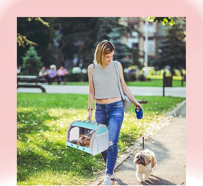 Bearded Dragon Travel Carrier Backpack,Lizard Backpack Carrier,Space Capsule Clear Bubble Window Astronaut Reptile Carrier Backpack for Guinea Pig,Sugar Glider,Bunny (Green, TPU Carrier+MAT)