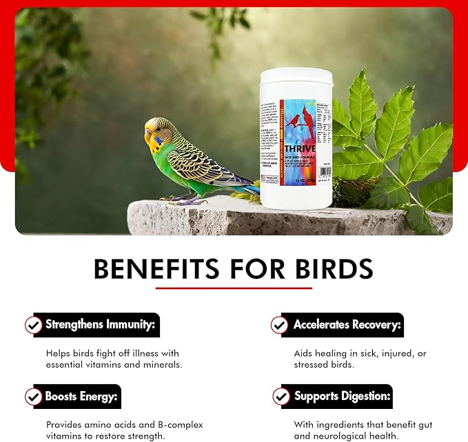 Morning Bird Thrive 16 Oz - Multi-Vitamin Bird Supplement Designed for Immune and Recovery Support - Formulated for Sick or Injured Birds - Protein Supplement and Energy Booster for All Adult Birds