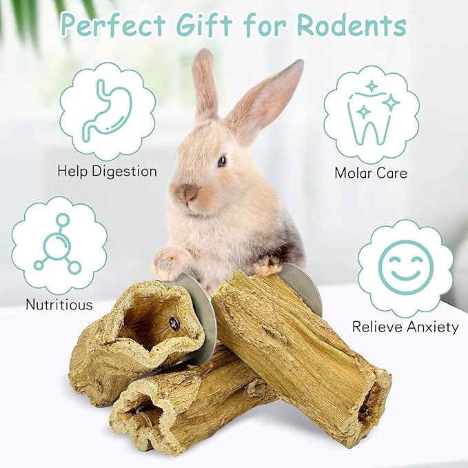 Fhiny Rabbit Chew Toys, 3 PCS Hanging Natural Papaya Wood Chew Sticks Guinea Pig Treats for Dental Care Small Animal Molar Snacks Bunny Treats for Rabbits Guinea Pigs Chinchillas Hamsters Gerbils