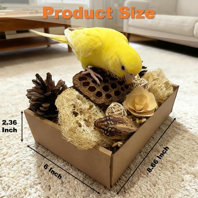 Bird Toys - Lotus Pod Foraging Box, 10 Natural Ingredients | Chewing and Shredding Parrot Toys | Ideal for Parakeets/Cockatiels/Conures/Lovebirds and Small to Medium Birds