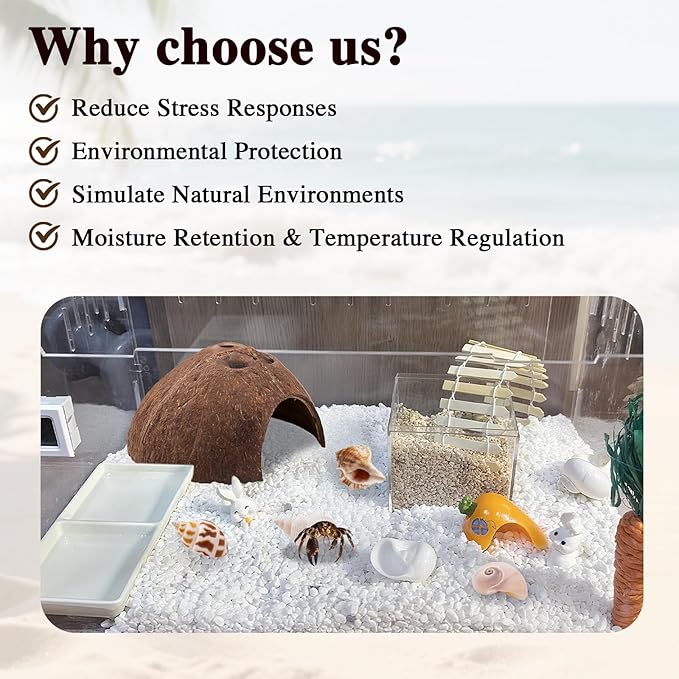 Hermit Crab Shells 1 Coconut Shell Hut 5 PCS Hermit Crab Seashells Accessories Decorations Enrichment Hut for House Hermit Crab Tank Hide Reptile Hideout