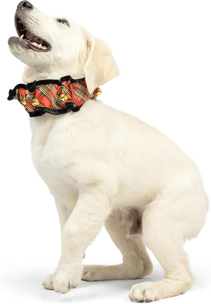 Huxley & Kent Ruff Pet Scrunchy | Shiny Christmas Plaid (Small) | Festive Christmas/Holiday Neckwear for Dogs/Cats | Fun Stretchable Costume Accessory | Soft Collar with Bells