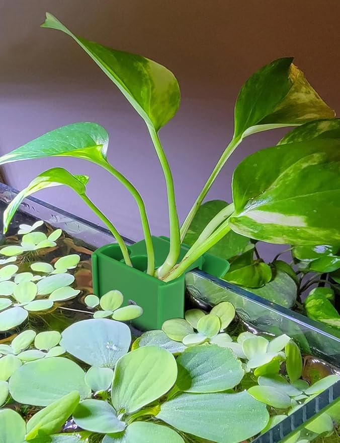 4 Pk Upgraded Aquarium Plant Holder, 3-Hole Hanging Plant Holder with Clip, Suitable for Fish Tank Potting, Aquarium Decoration, Green