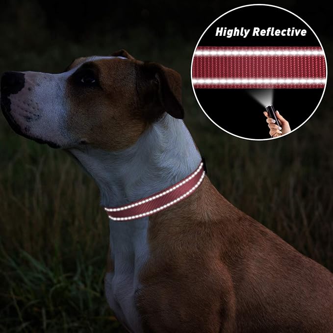 TagME Reflective Nylon Dog Collars, Adjustable Classic Pet Collar with Quick Release Buckle for Small Dogs, Baby Pink, 3/4" Width