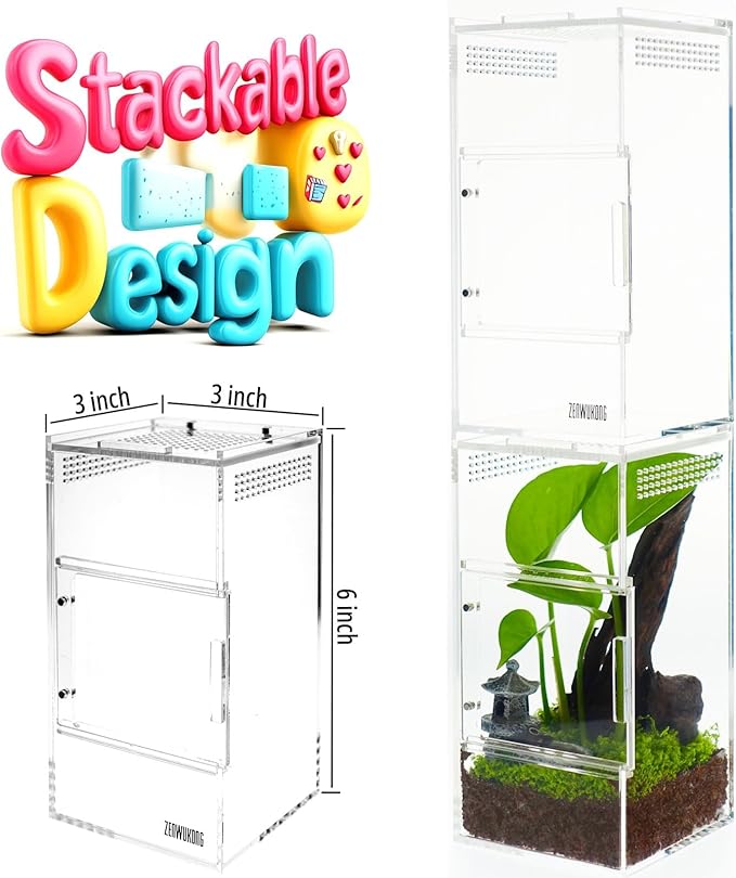 Jumping Spider Enclosure - Acrylic Terrarium Habitat for Spiders, Tarantulas, Snail, Mantis, Lizard, and Small Reptiles, Magnetic Doors (3x3x6 inch)