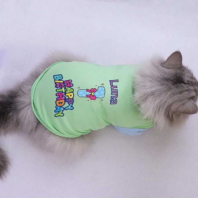 Custom Dog Birthday Shirt,Personalized Pet Apparel Print with Name Age Number,Pet Birthday Outfit,Lightweight Breathable Cotton Vest for Small Medium Large Dogs Cat (Dopamine Blue, Large)