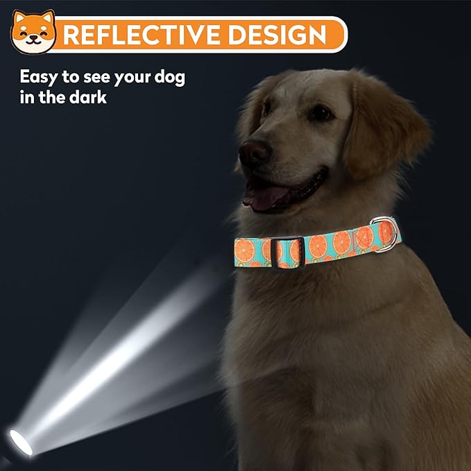 Reflective Dog Collar, Adjustable Soft Neoprene Padded Nylon Pet Collars with Buckle for Puppy and Small Dogs, Cats, Summer Lemon,L