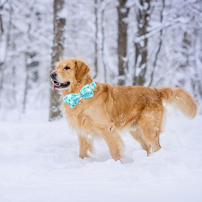Dog Collar, Bow Dog Collar Blue Bear Pattern Pet Collar Dog Cute Bow Tie Soft Girl Boy Dog Collars with Metal Buckle for Small Dogs