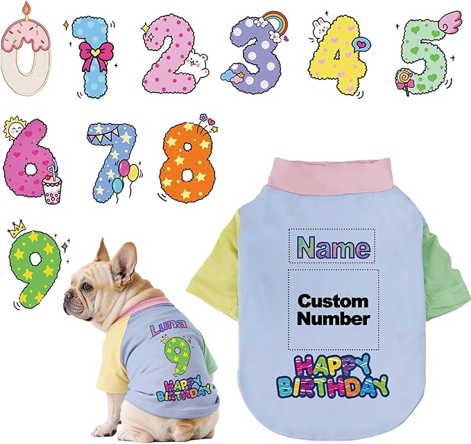 Custom Dog Birthday Shirt,Personalized Pet Apparel Print with Name Age Number,Pet Birthday Outfit,Lightweight Breathable Cotton Vest for Small Medium Large Dogs Cat (Dopamine Blue, X-Large)