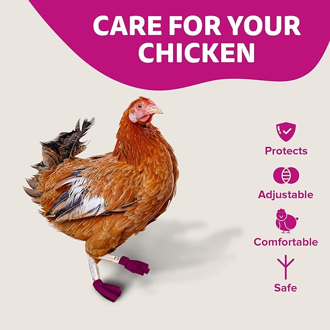 Chicken Shoes for Injured Feet – Protective Neoprene Footwear for Chicken, Open-Toe Design for Bumblefoot Relief, Made in USA - Standard, 3" Max. Inside Width, Pink