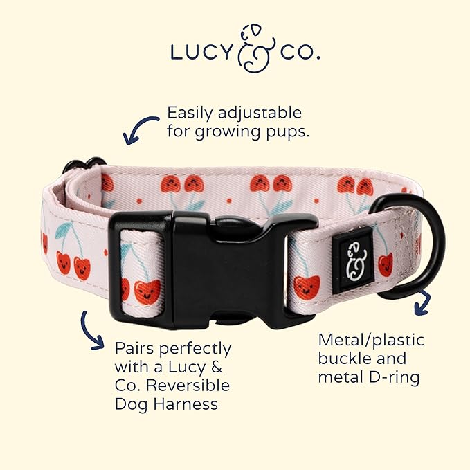 Lucy & Co. Cheery Cherries Dog Collar - Durable Lightweight Designer Collar for Pets - Adjustable Metal Safety Buckel - Red Gingham Cherries – Large