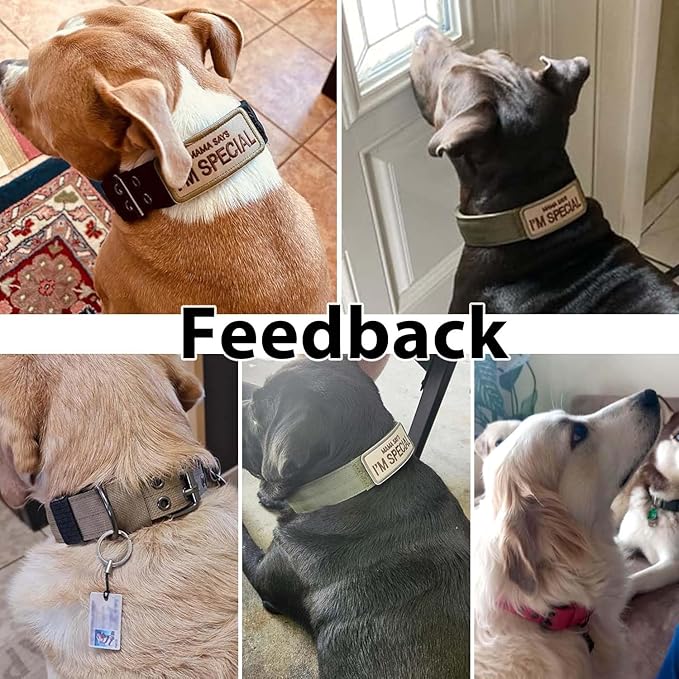 Tactical Dog Collar Military Adjustable Dog Collars Soft Nylon Training Collar with Patch Heavy Duty Metal Buckle Collars for Medium Large Dogs (Blue, XL)