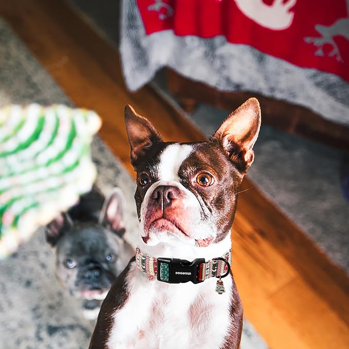 DOGWONG Christma Dog Collar, Classic Cute Red Green Christmas Tree Dog Collar for Boy and Girl Dogs, Strong Plastic Buckle Dog Collars for Small Medium Dogs,M