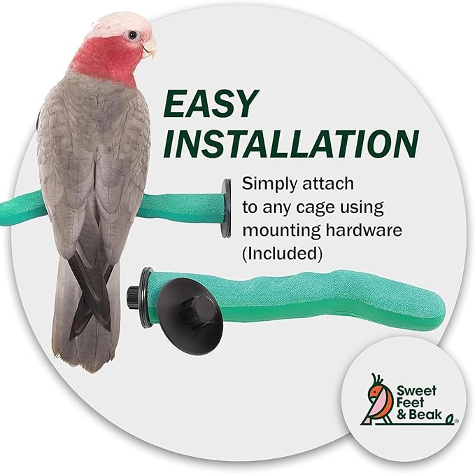 Sweet Feet and Beak Brid Cage Safety Pumice Perch - Trims Nails and Beak - Promotes Healthy Nails and Beaks - Safe Non-Toxic Bird Supplies for Bird Cages - Large 12"