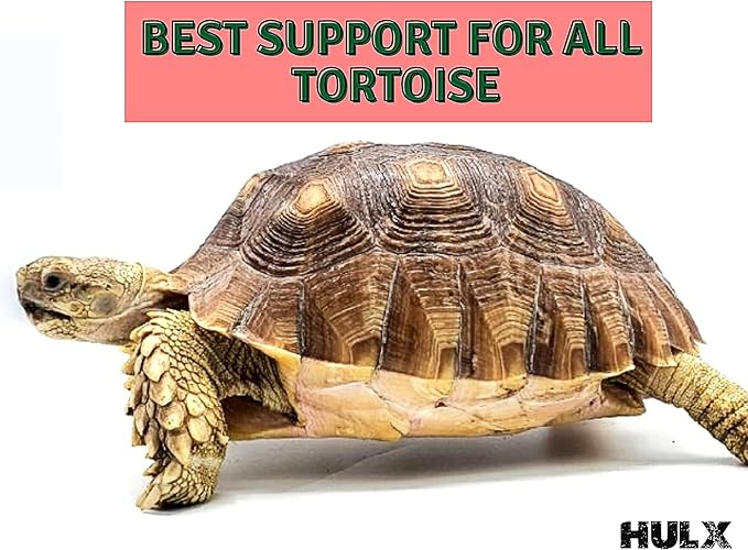 Turtle Food & Reptile Feed 110 G, HIGH Protein 34% Floating Stick Pellets Growth Fast Formula, Turtle Stick Feeding Frog Aquatic Amphibian & Cichlid Food Support Robust Turtle Shell, Tortoise Food