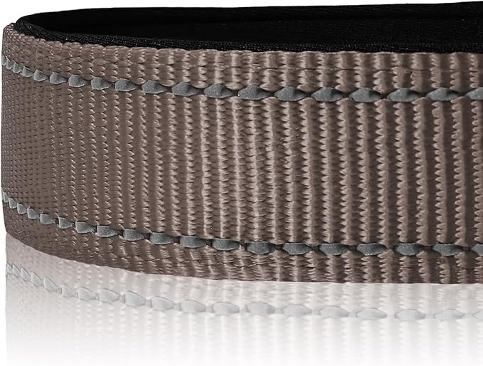 Joytale Reflective Dog Collar, Soft Neoprene Padded, Metal D-Ring, Nylon Pet Collar Adjustable for Medium Dogs, Brown, Medium