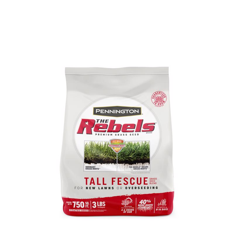 Pennington The Rebels Tall Fescue Grass Sun or Shade Grass Seed 3 lb 100543728