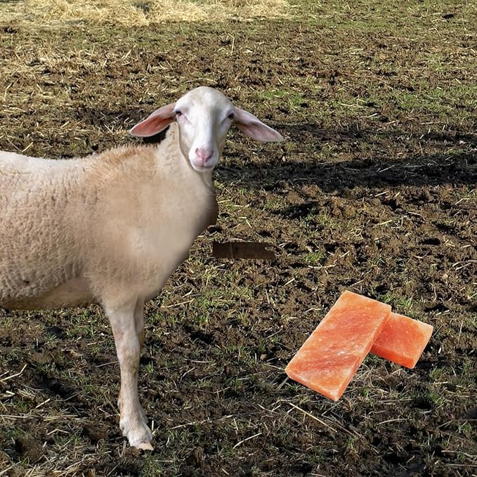 Himalayan Rectangle Horse Salt Lick Brick for Cattle, Goats, Cows and Other Livestock, 100% Natural Animal Salt Blocks for Deer Provide Minerals(1 Pcs | 8 x 4 x1 Inches)