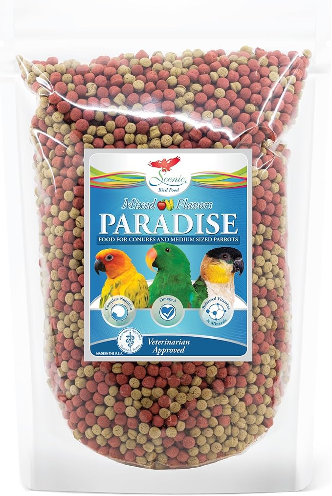 Scenic Mix Paradise Premium Parrot Food - Apple & Natural Flavors, High Protein, Low Iron Conure Bird Food, Eclectus & Other Small Pet Parrots, Omega 3, Vitamins & Minerals, 1 LB Bag