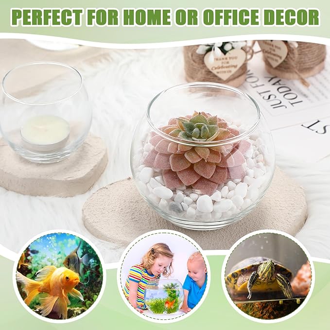 Zopeal 24 Pcs Fish Bowl Vase Glass Bubble Bowl Globe Glass Clear Bubble Vase Round Terrarium Goldfish Flower Centerpiece for Wedding Event Arrangement Office Home (2.36"h X 2.76"w and 3.15"h X 3.94"w)