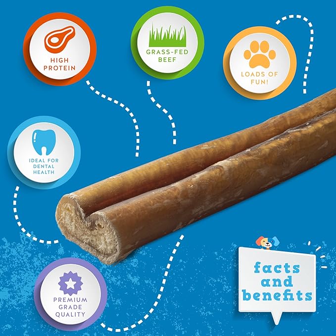 Jack&Pup 12 Inch Bully Sticks for Large Dogs | Thick Odor Free Bully Sticks (3 Pack) Long Lasting Bully Sticks for Dogs