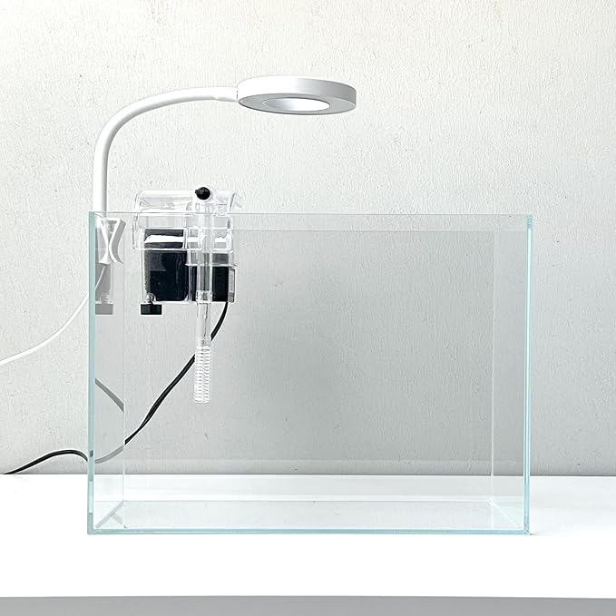 Nano Aquarium kit, Small Betta Fish Aquarium, 2.2 Gallon Rimless Glass Fish Tank with Filter and Light (Transparent, Essential)