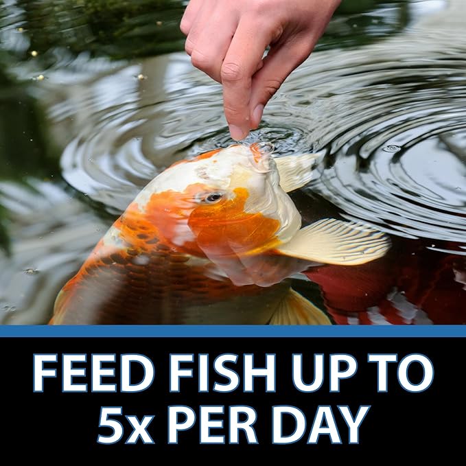 CrystalClear Staple Pond Fish Food for Healthy Koi & Goldfish, Protein Packed Floating Pellets for Summer Nutrition, Easy Digestion, 2.2 Pound Bag