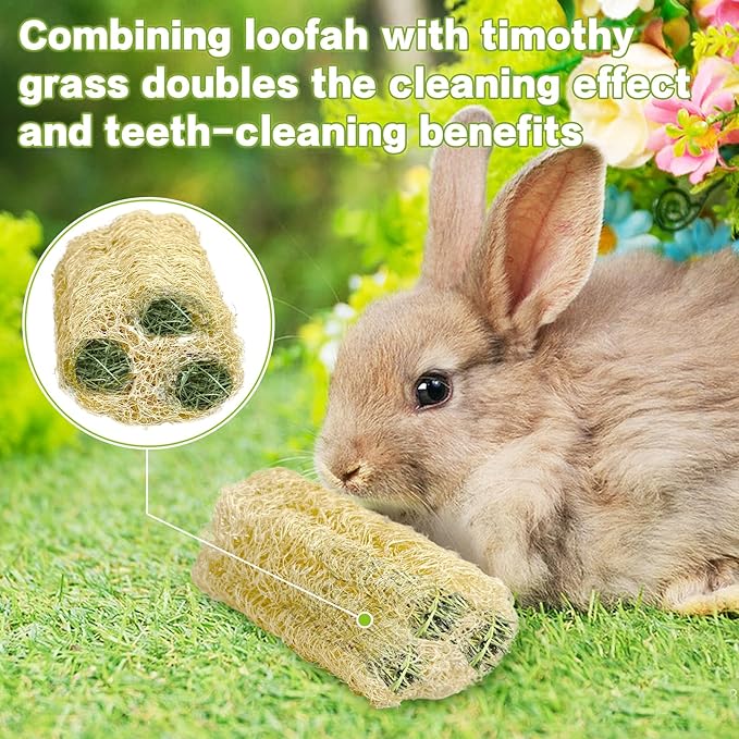 BNOSDM Bunny Chew Toys Natural Loofah 6PCS Bunny Teeth Grinding Toy Rabbit Fiber-Rich Treats Pet Entertainment Accessories for Rabbits Chinchillas Guinea Pig（XL）