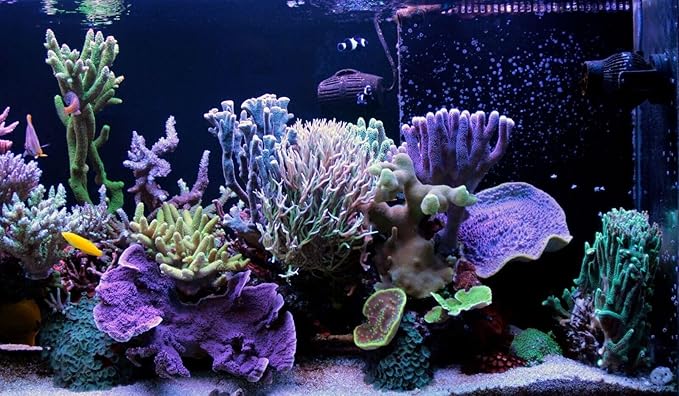 Aquatic Foods Inc. Golden Pearls 200-300 Microns for Tropical Fish Fry, Babies, Guppies, Tetras, Bettas, Nano Fish, for Corals, Anemones, Reef Tanks…3.8oz Squeeze Bottle