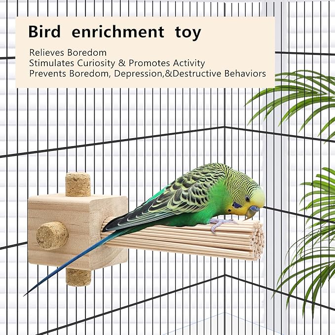 Parrot Chewing Stopper Toy Stand Perches Lollipop Stick Bird Toy Intelligence and Emotions Wood Foraging Toys for Parrots Cage Accessory (Wood-Lollipop, 1 Pack)
