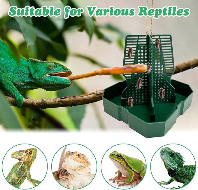 Chameleon Feeding Bowl Hanging Bearded Dragon Feeder Bug Bowls with Rope and Tweezers Mounted Insect Reptile Feeder Box for Lizard Gecko Frog (Green,Large)