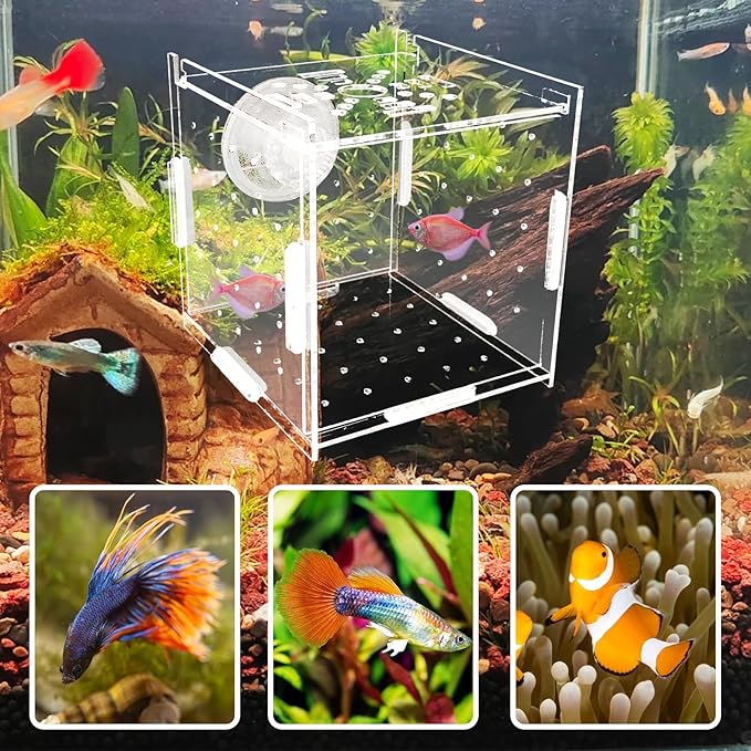 Hamiledyi Acrylic Breeding Isolation Box - Transparent Aquarium Hatchery for Guppy/Shrimp/Small Fish, Safe Nursery Tank with Air Tube & Suction Cups (3.9" × 3.9" × 3.9")