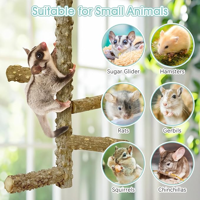 BNOSDM Sugar Glider Toy Natural Prickly Ash Wood Perch Stand Squirrel Hanging Wooden Climbing Pole Hamster Paw Grinding Perch Small Animal Cage Accessories for Chinchillas Rats Gerbil