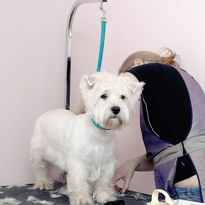 Jelly Pet Grooming Loop Slip Style (1/2" x 30", Purple) | Made in The USA