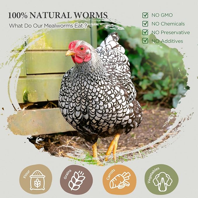 Dried Mealworms for Birds, Non-GMO High Protein Chicken Treats & Poultry Feed, 10 lb Bag