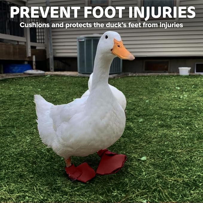 Duck Shoes for Injured Feet – Protective Neoprene Footwear for Ducks, Protective Shoes for Birds with Injured feet, Bumblefoot Relief - Small, 2.5’’ Max. Inside Width - Red