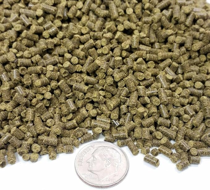 Aquatic Foods Inc. Calcium Blocks Included in These Spirulina Sinking Pellets for Shrimp, Snails, Crabs, Catfish, Plecos for All Tropical Fish 1/16" x 3/8" Pellets by Zeigler…6-lb Lg Jar