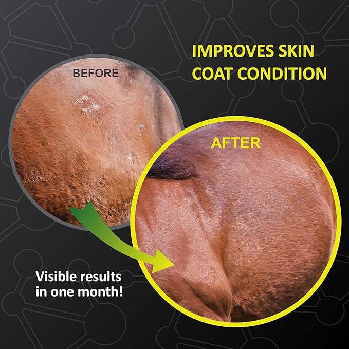 GastroMend XC, 100% Natural Equine Stomach Health for Horses, Promotes Healing & Prevention of Gastric Ulcers, Highly Potent & Effective, Supports Gastric and Hindgut Health, 30 Servings, Made in USA