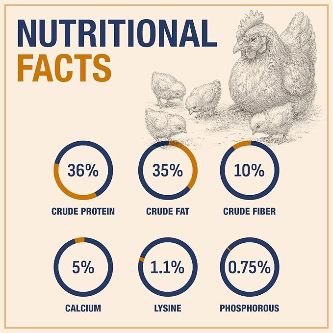 USA Grown Black Soldier Fly Larvae for Chickens - 100% Natural Dried Mealworms for Chickens - Grubs with 85X More Protein Chicken Treats for Laying Hens - Birds Feed Supplement for Ducks & Reptiles